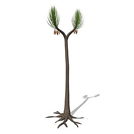 園林綠化植物3D模型