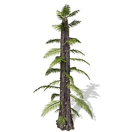 3d高精度室內(nèi)植物花草模型