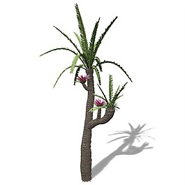 3d高精度室內(nèi)植物花草