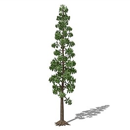 綠色植物3D模型