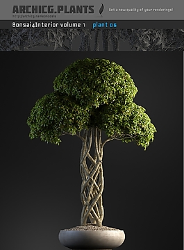 園林綠化盆景3D模型