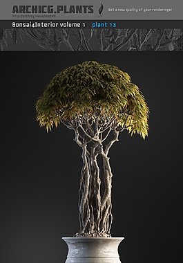 精美花園盆景3D模型