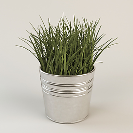 清新綠色植物盆栽3D模型