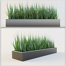 精美綠色植物3D模型