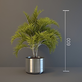 綠色植物盆栽3D模型
