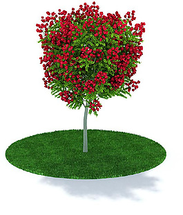 精美红花绿树3D模型