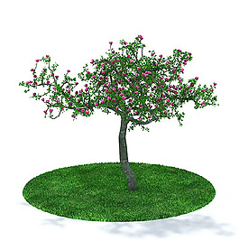 精美小花綠樹3D模型