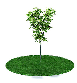 家種綠色樹木3D模型