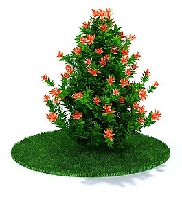紅色小花樹苗3D模型