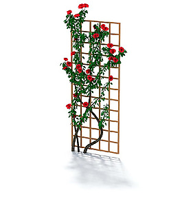 精美小花藤蔓植物3D模型