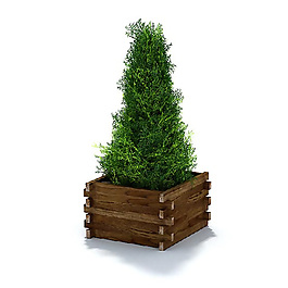 精美綠色植物盆栽3D模型