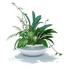 綠色植物組合盆景3D模型