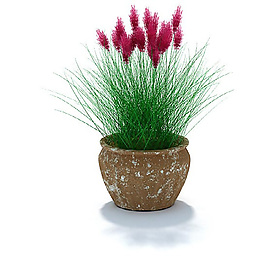 紅色精美小花盆景3D模型
