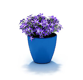 紫色小花盆景3D模型