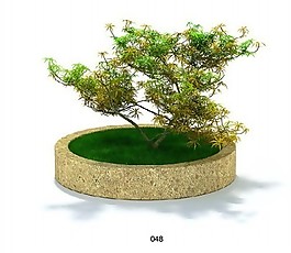 高檔盆景模型