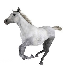 煙灰色奔跑馬模型素材