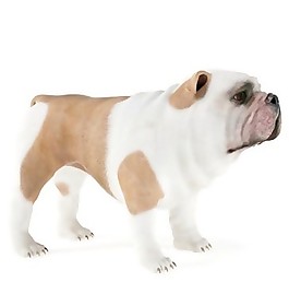 可愛沙皮狗模型素材