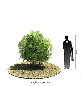綠色傘狀樹葉樹木模型素材