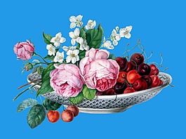 免扣油畫花卉靜物手繪薔薇花朵植物元素