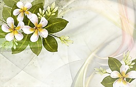 白色花朵背景墻