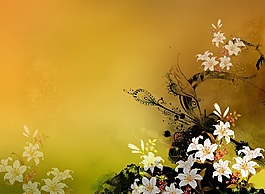 百合背景圖素材下載