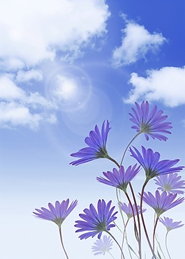 自然花卉背景素材