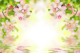 3D高清鲜花湖面倒影背景墙
