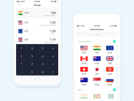 簡潔的貨幣兌換應(yīng)用界面Sketch素材