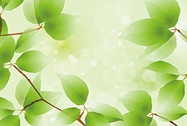 綠葉裝飾畫素材
