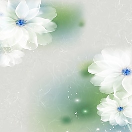 白色淡雅裝飾畫