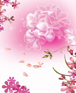 中式高清粉色花朵移門畫