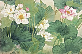 中式風(fēng)荷花背景墻
