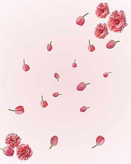 高清簡約花朵花瓣移門畫