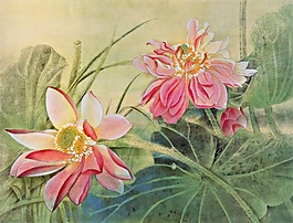 塘中荷花盛开背景墙素材