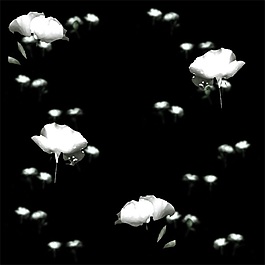 黑白花纹布纹贴图