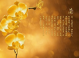 蘭花背景墻素材