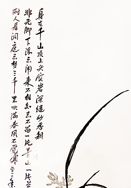 蘭圖片下載