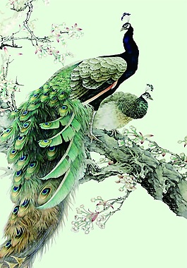 孔雀掛畫背景墻大全