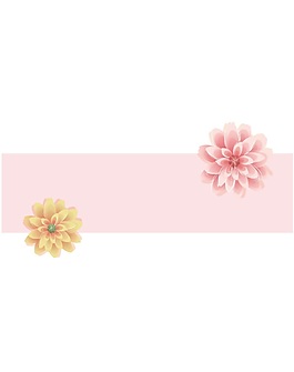 簡約花朵室內(nèi)移門創(chuàng)意畫