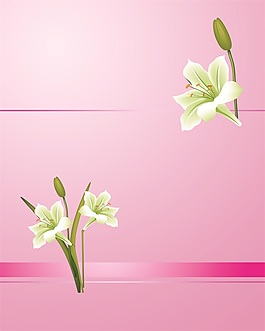 簡(jiǎn)約花朵室內(nèi)移門創(chuàng)意畫