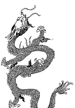 龍飛鳳舞花紋圖