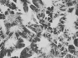 布紋灰色材質(zhì)貼圖