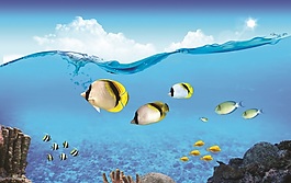 魚兒的世界室內(nèi)移門創(chuàng)意畫