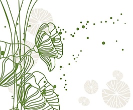素描蒲公英效果圖