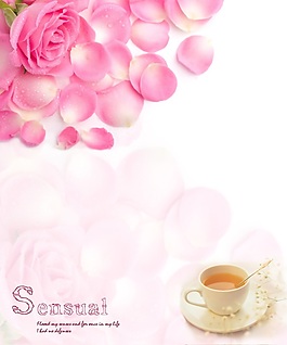 粉色玫瑰花瓣移門裝飾畫