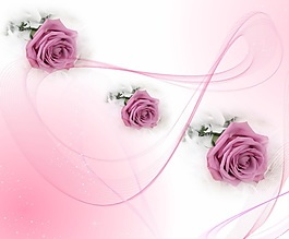 粉色玫瑰花朵移門裝飾畫