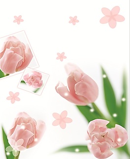 粉色郁金香室內(nèi)移門創(chuàng)意畫
