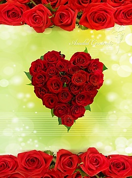 溫馨玫瑰花花朵移門裝飾畫