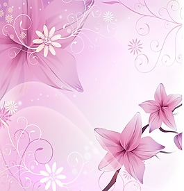 粉色玉蘭花朵移門裝飾畫