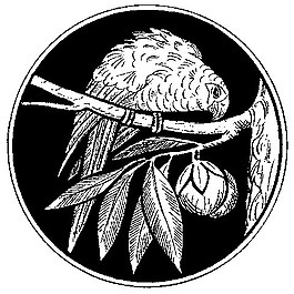 鳥中式圖案花邊黑白圖